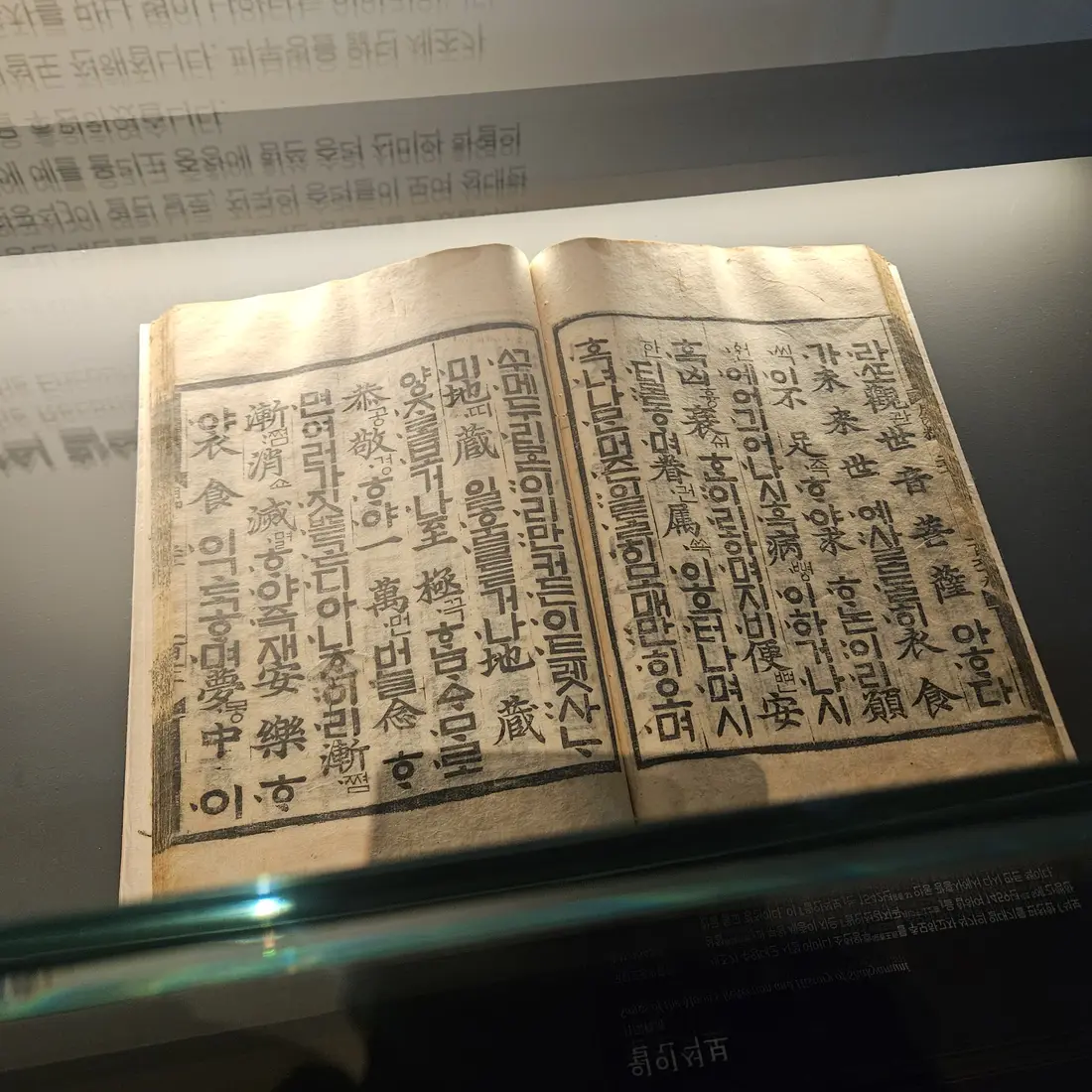 평창 전시 오프닝행사 핑거푸드 핑거푸드 플레이팅 강원 평창
